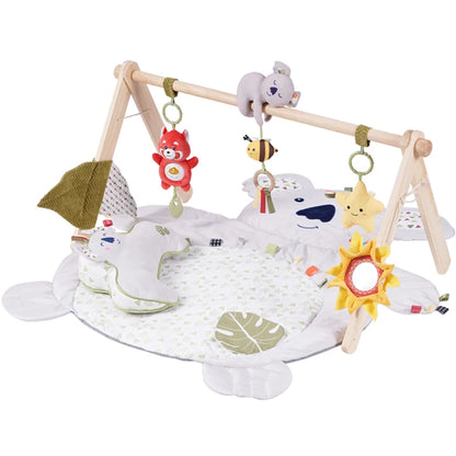 Newborn Infant Essentials Baby Play Gym Activity Mat 5 Detachable Cotton Toys Tummy Time Sensory Development Mat Sports Toy